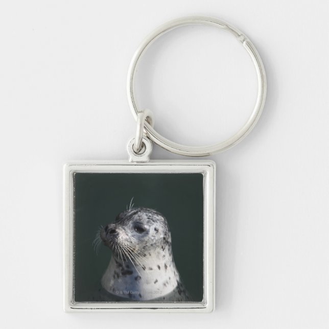 A harbour seal keychain (Front)