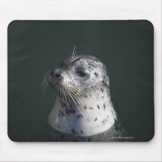 A harbour seal mouse pad