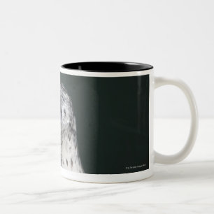 A harbour seal Two-Tone coffee mug