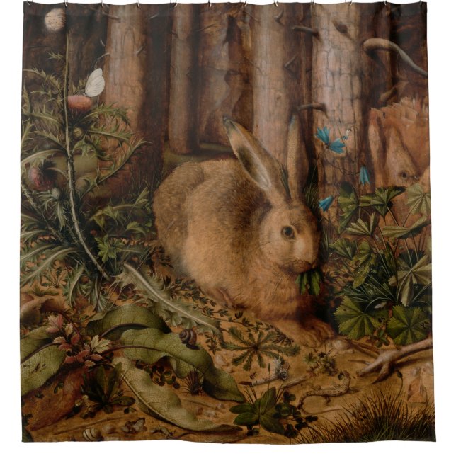 A Hare in the Forest (by Hans Hoffmann) (Front)