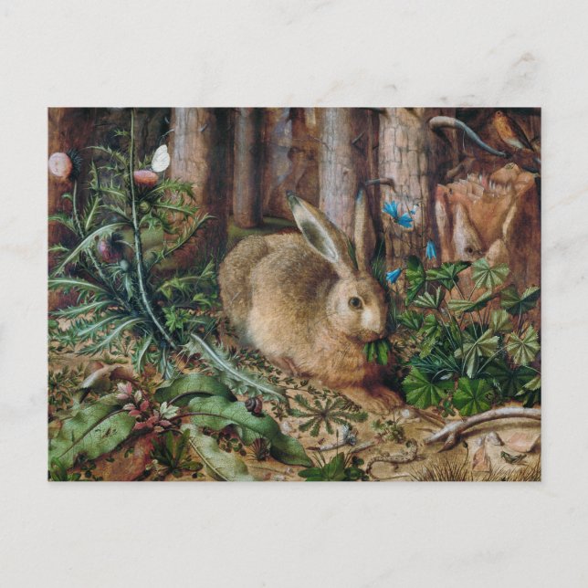 A Hare in the Forest Postcard (Front)