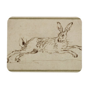 A Hare Running, With Ears Pricked (pen & ink on pa Magnet