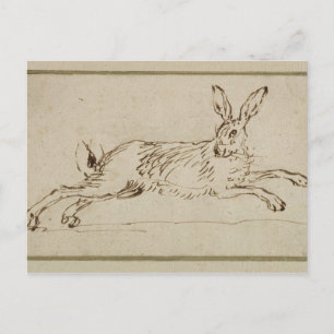 A Hare Running, With Ears Pricked (pen & ink on pa Postcard
