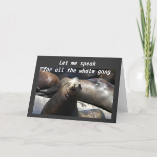 A HAREM OF SEALS FOR YOUR 40th Card