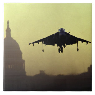 A Harrier jet landing on the Mall at dawn with Tile