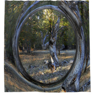 A Haunted tree.......