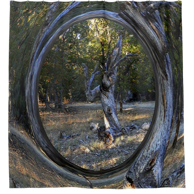 A Haunted tree....... (Front)