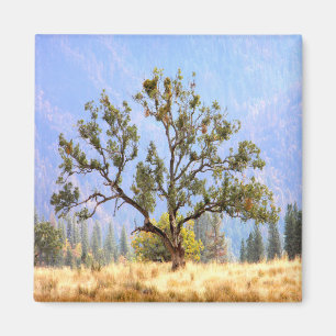 A hazy day in the valley... magnet