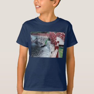 A Healer's Boat T-Shirt