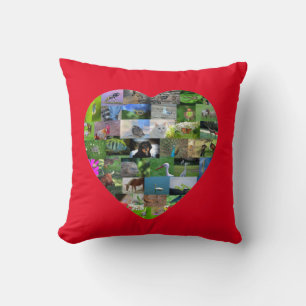 A heart for animals  -  in red throw pillow