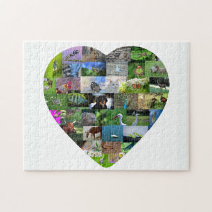 A heart for animals jigsaw puzzle