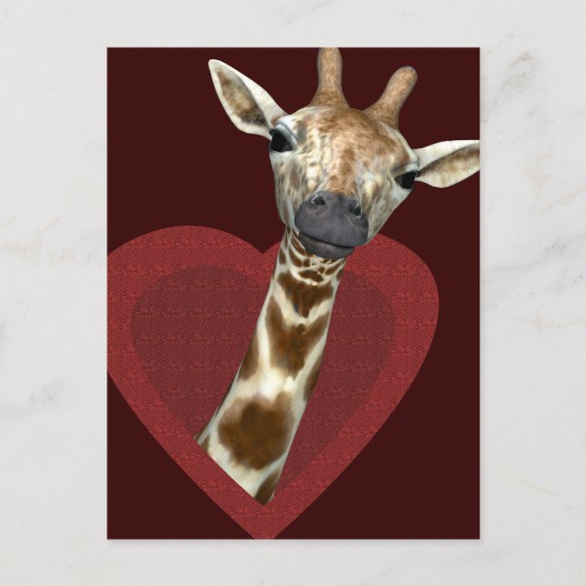 A Heart For Giraffes Postcard (Front)