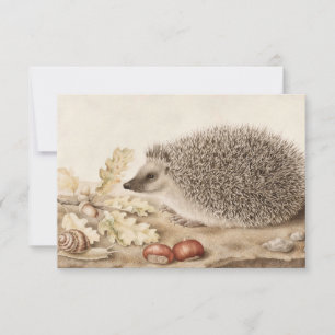 A Hedgehog in a Landscape by Giovanna Garzoni Thank You Card