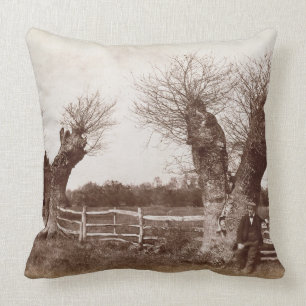 A Hedgerow Tree, 1852 (albumen print) Throw Pillow