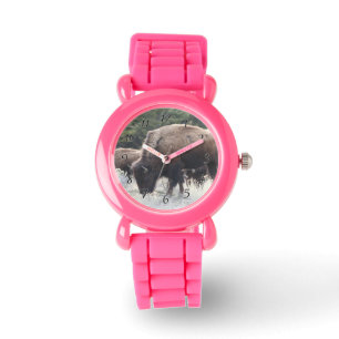 A Herd of Brown Bison Graze in a grassy Meadow Watch