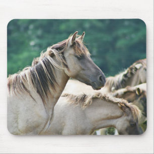 A herd of Brumby Horses from Australia Mouse Pad
