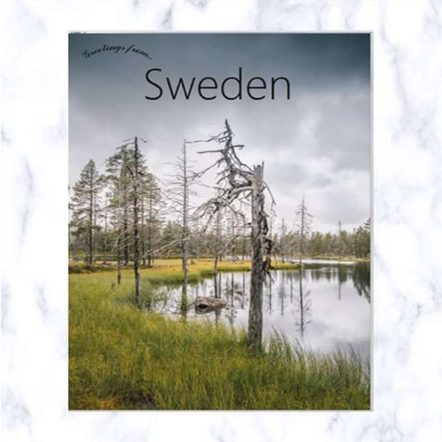 A Hidden Swamp Lake in Jämtland Sweden Postcard (Creator Uploaded)