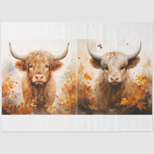 A Highland Cow Design Collection 2 Tissue Paper