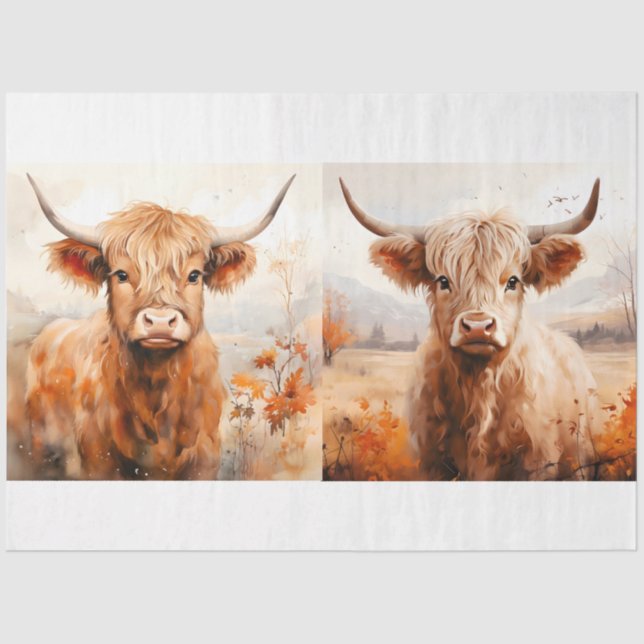 A Highland Cow Design Collection 3 Tissue Paper (Front)