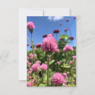 A Hint of Z "Floral Pink" card