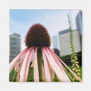 A Hint of Z "Pink and White Floral" magnet