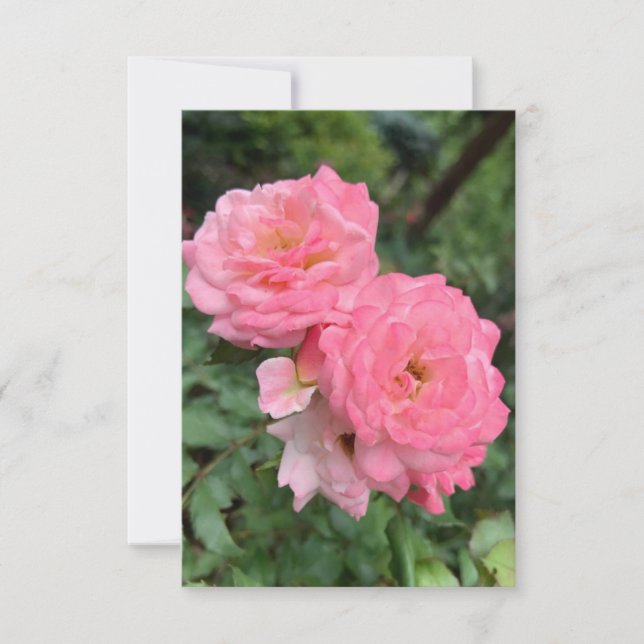 A Hint of Z "Pink rose" card (Front)