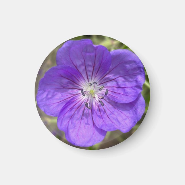 A Hint of Z "Purple Floral" magnet (Front)