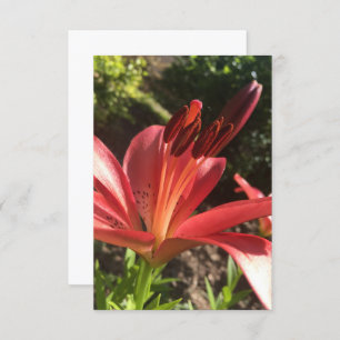 A Hint of Z "Solid Red Flower" card
