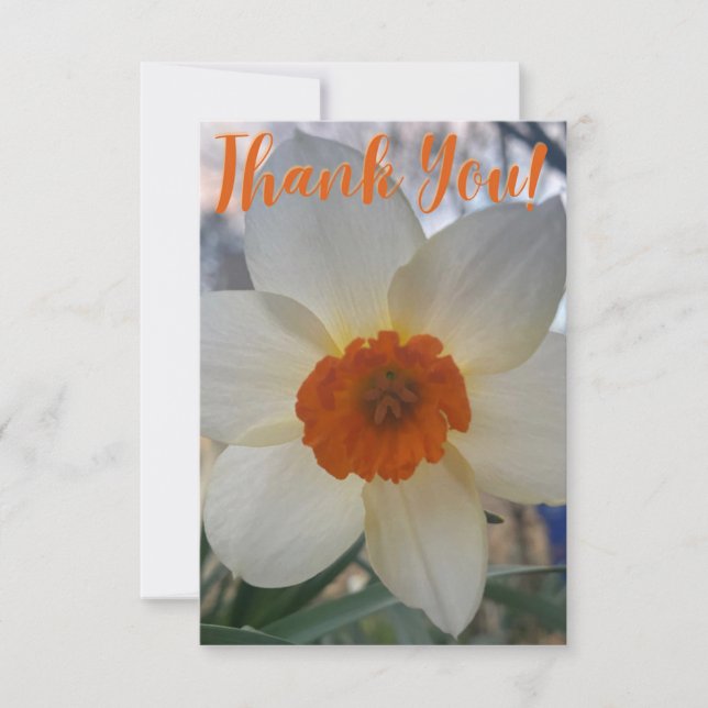 A Hint of Z "Thank You" card (Front)