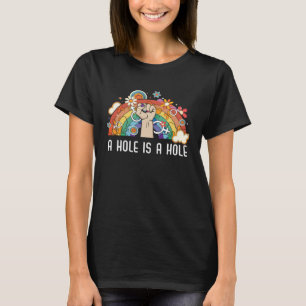 A Hole Is A Hole Bisexual Rainbow Pride Bisexualit T-Shirt