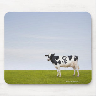 A Holstein Dairy cow with spots in the shape of Mouse Pad