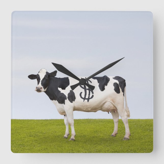 A Holstein Dairy cow with spots in the shape of Square Wall Clock (Front)