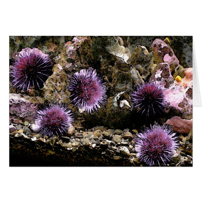 A Horde of Urchins (Front Horizontal)