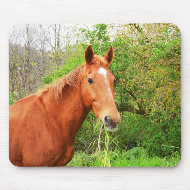 A horse called Orion Mouse Pad (Front)