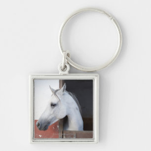 A Horse (Equidae) Keychain