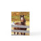 "A Horse & Her Cat" Greeting Card