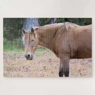 A Horse is a Horse of Course - 20x30 inch Jigsaw Puzzle