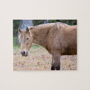 A Horse is a Horse, of Course - 8x10 inch Jigsaw Puzzle