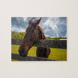 A Horse Jigsaw Puzzle