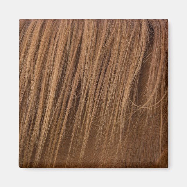 A Horse Mane Magnet (Front)