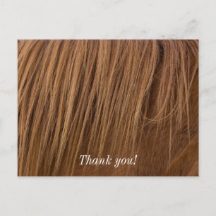 A Horse Mane Postcard