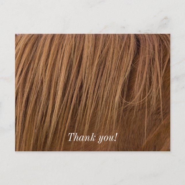 A Horse Mane Postcard (Front)