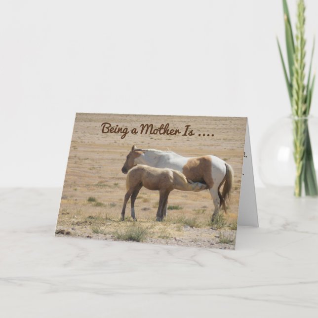 A Horse Mothering Her Baby Happy Mother's Day Card (Front)