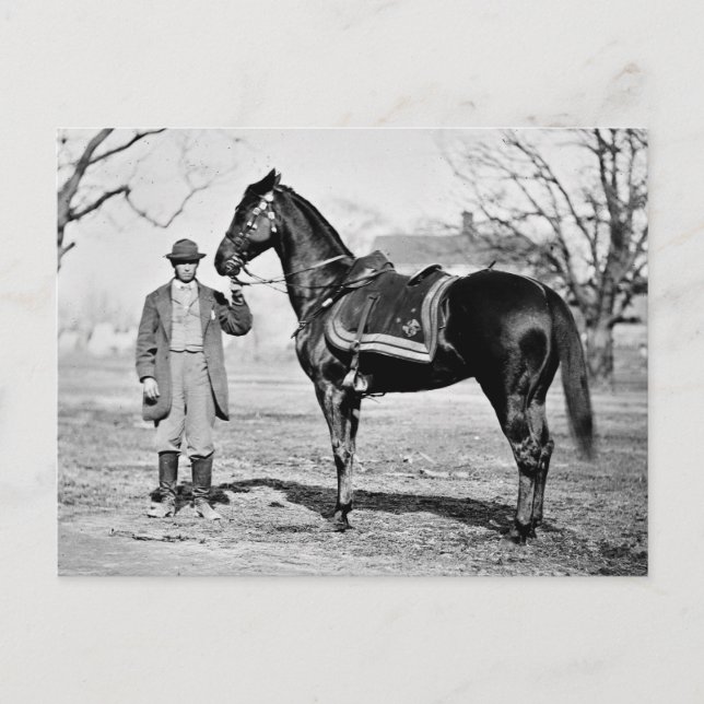 A Horse Named Cincinnati, 1865 Postcard (Front)