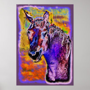 A Horse of Many Colours Poster
