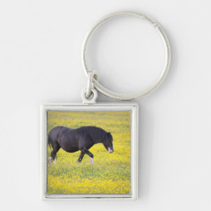 A Horse Walking In A Field Of Yellow Flowers Keychain