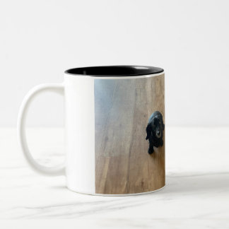 A hot dog dog and a pug! Two-Tone coffee mug