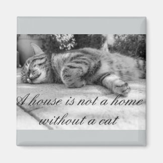 A house is not a home without a cat magnet! magnet