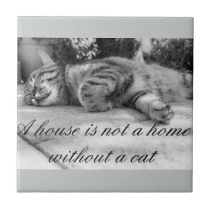 A house is not a home without a cat tile. tile