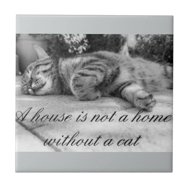 A house is not a home without a cat tile. tile (Front)